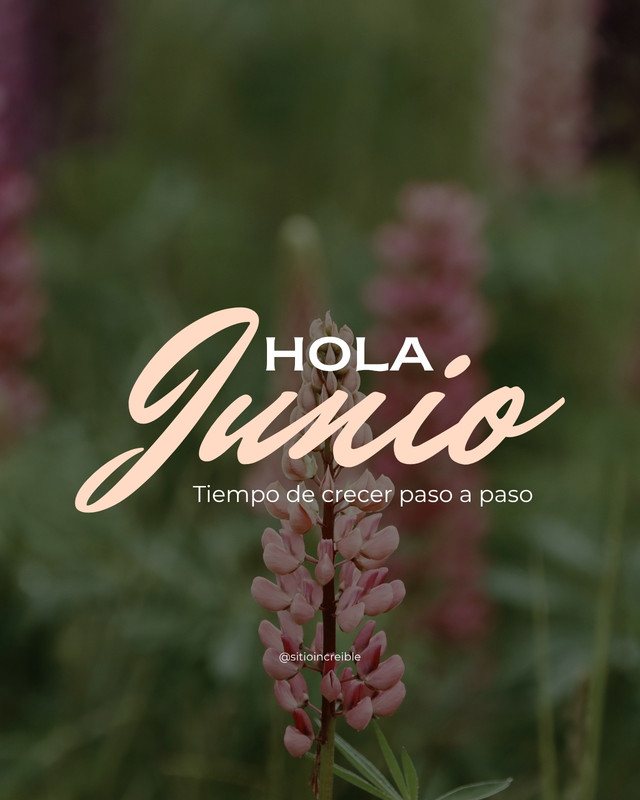 Plantillas junio - Gratis y editables - Canva