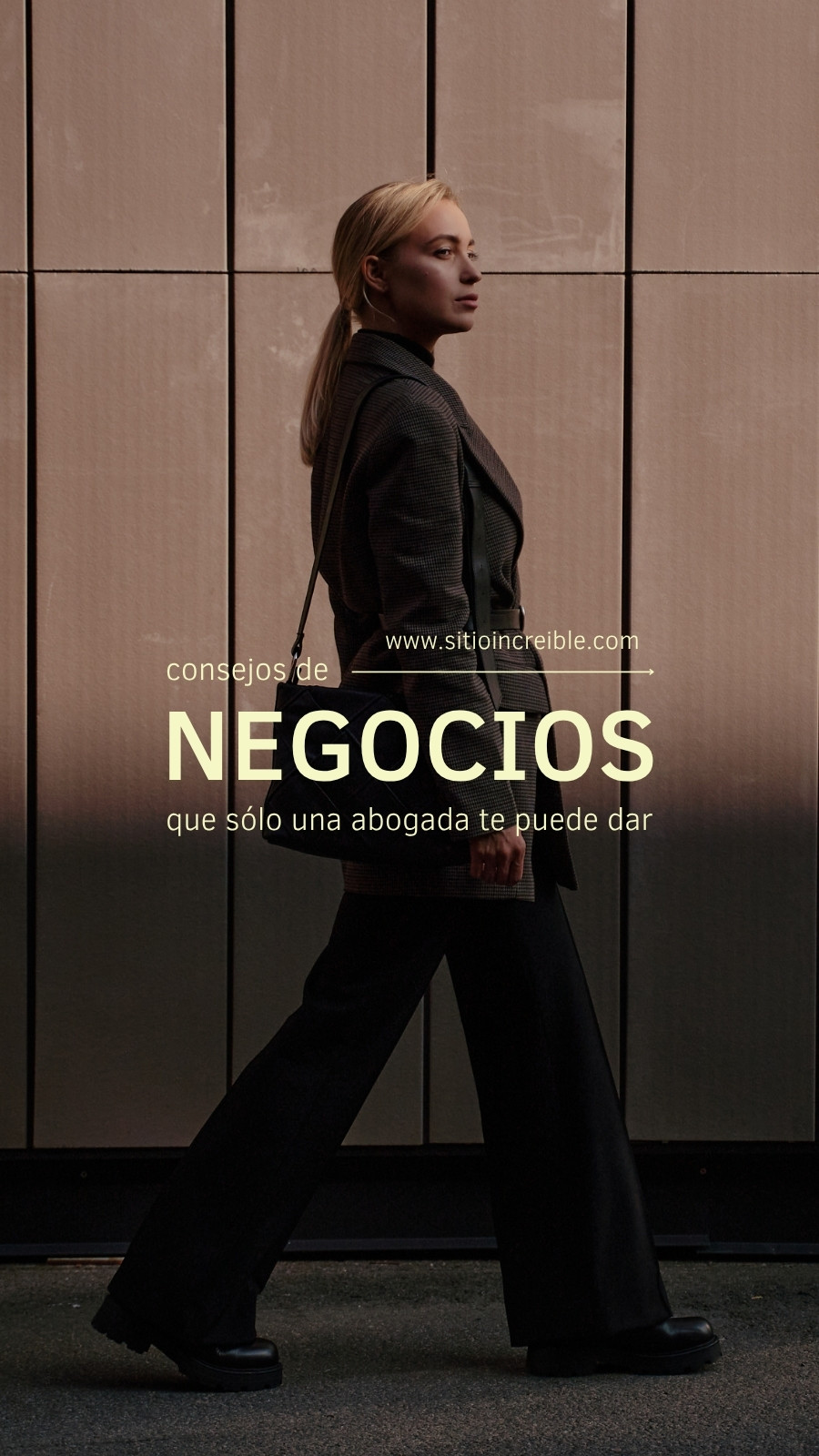 Negro y Beige Moderno Empresa Negocios Abogada Historia de Instagram