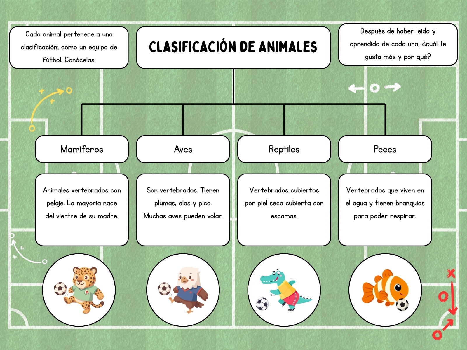 Mapa Conceptual sobre La Clasificación de Animales con Temática de Fútbol Lindo Verde