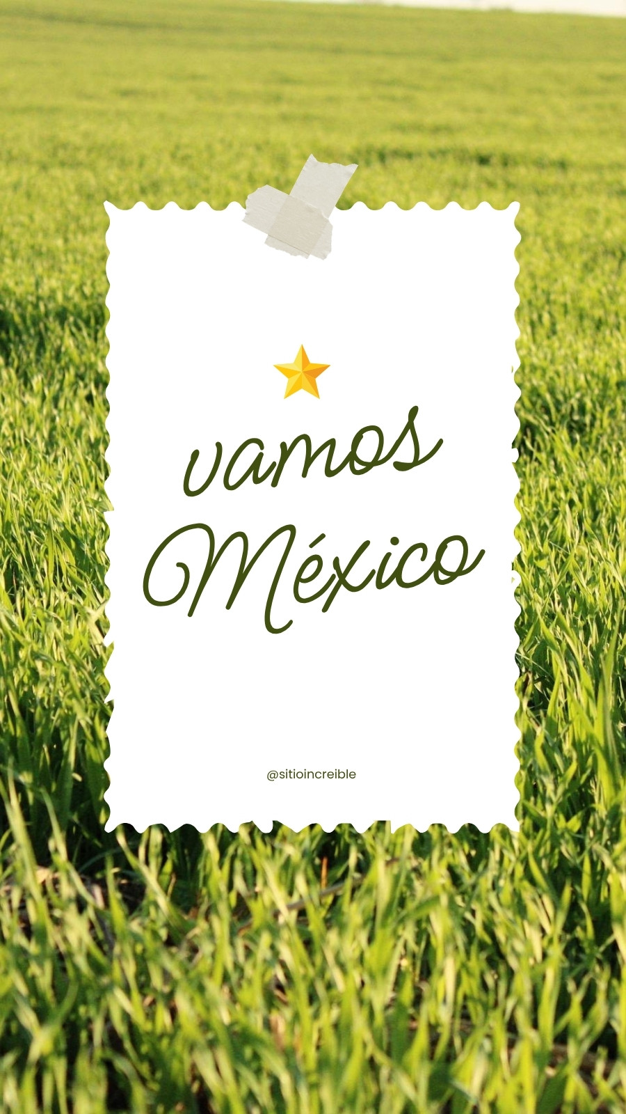 Verde y Blanco Minimalista Apoyo México Instagram Story