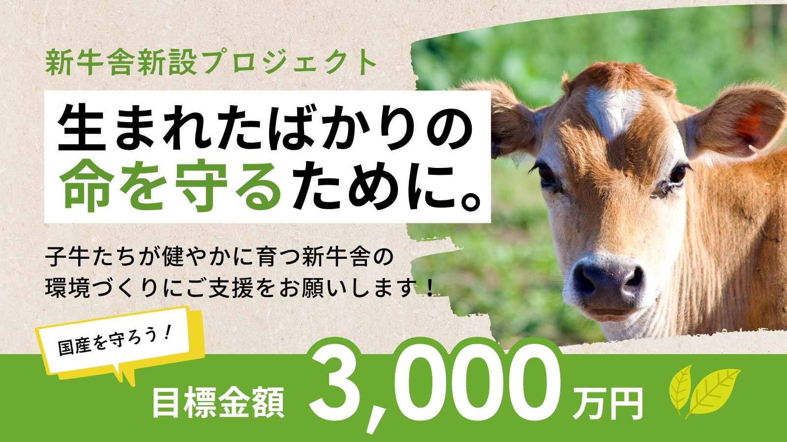 子牛無料テンプレートデザイン。イラストや画像付きも豊富 - Canva