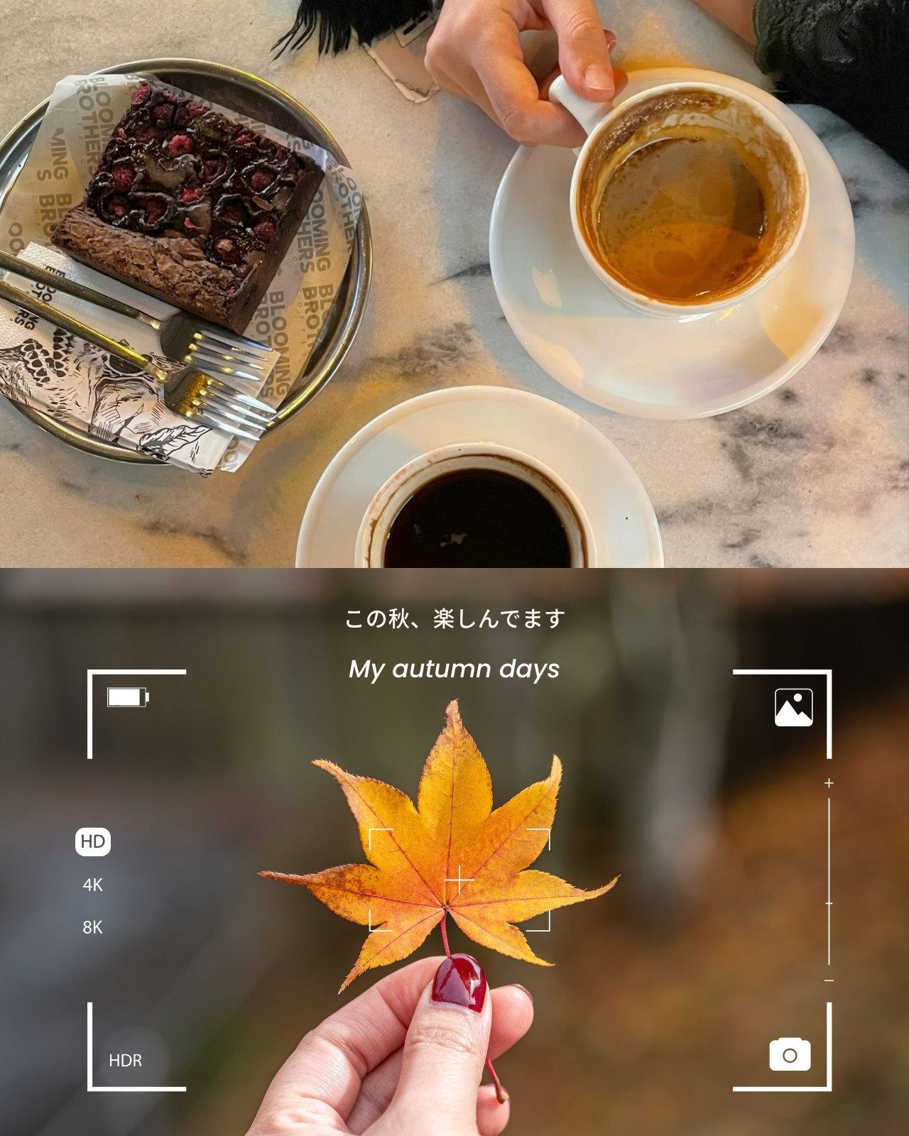 分割無料テンプレートデザイン。イラストや画像付きも豊富 - Canva