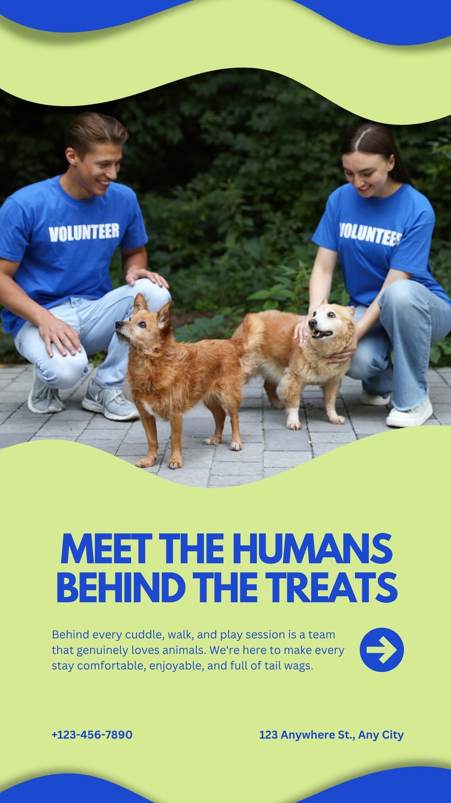 Blue and Green Playful Friendly Volunteer Animals Instagram Story