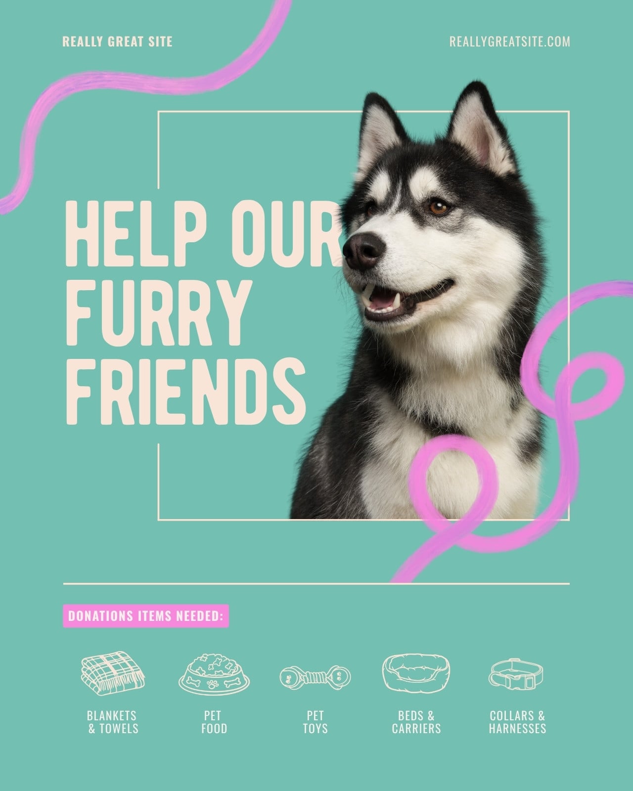 Teal and Pink Playful Pet Charity Instagram Post