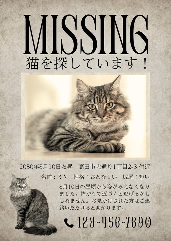 20ページ - 説明会無料テンプレートデザイン。イラストや画像付きも