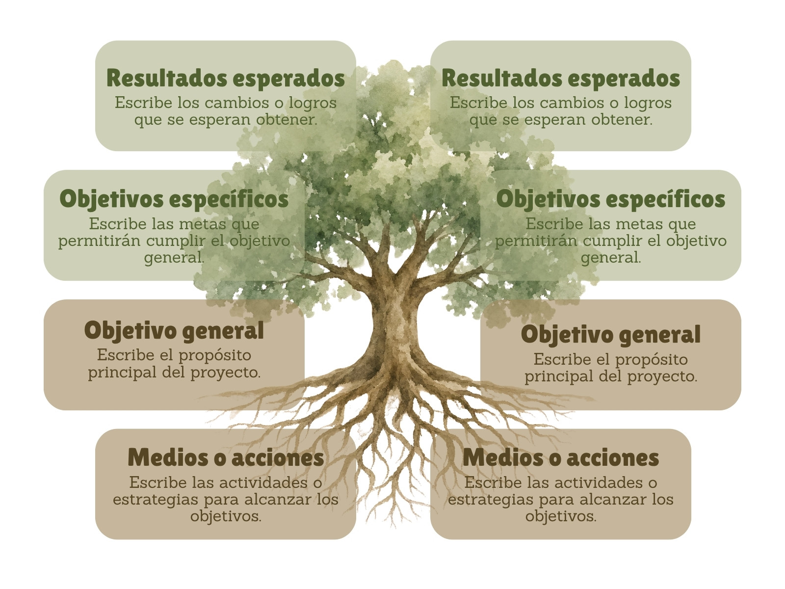Grafica arbol de objetivos acuarela verde y beige