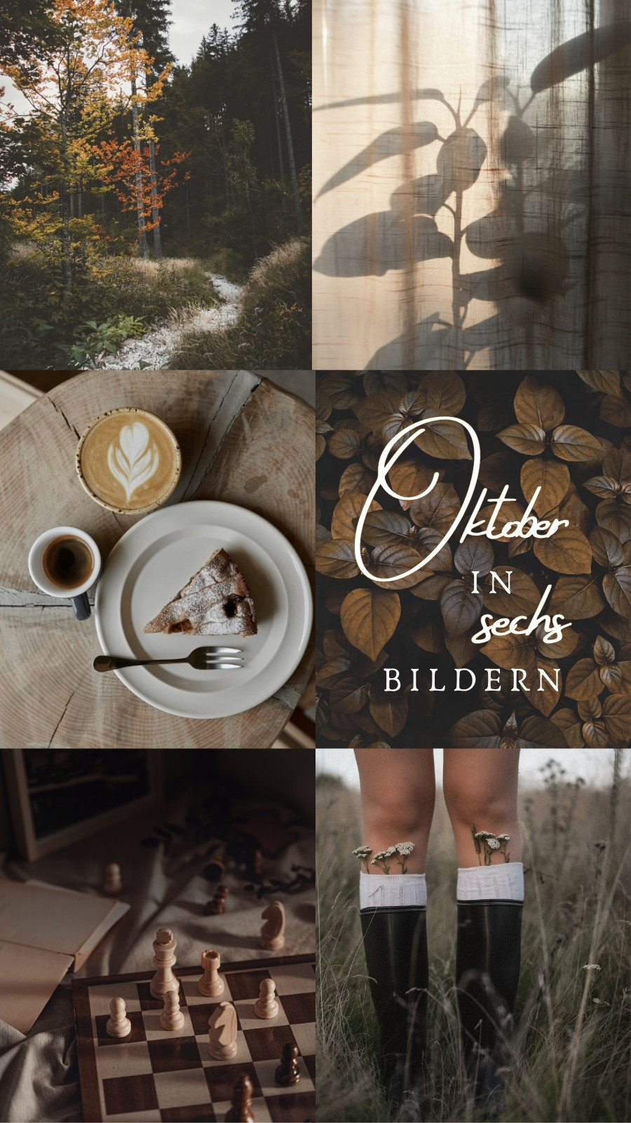 Braun Beige Modern Fotocollage Oktober Instagram Story