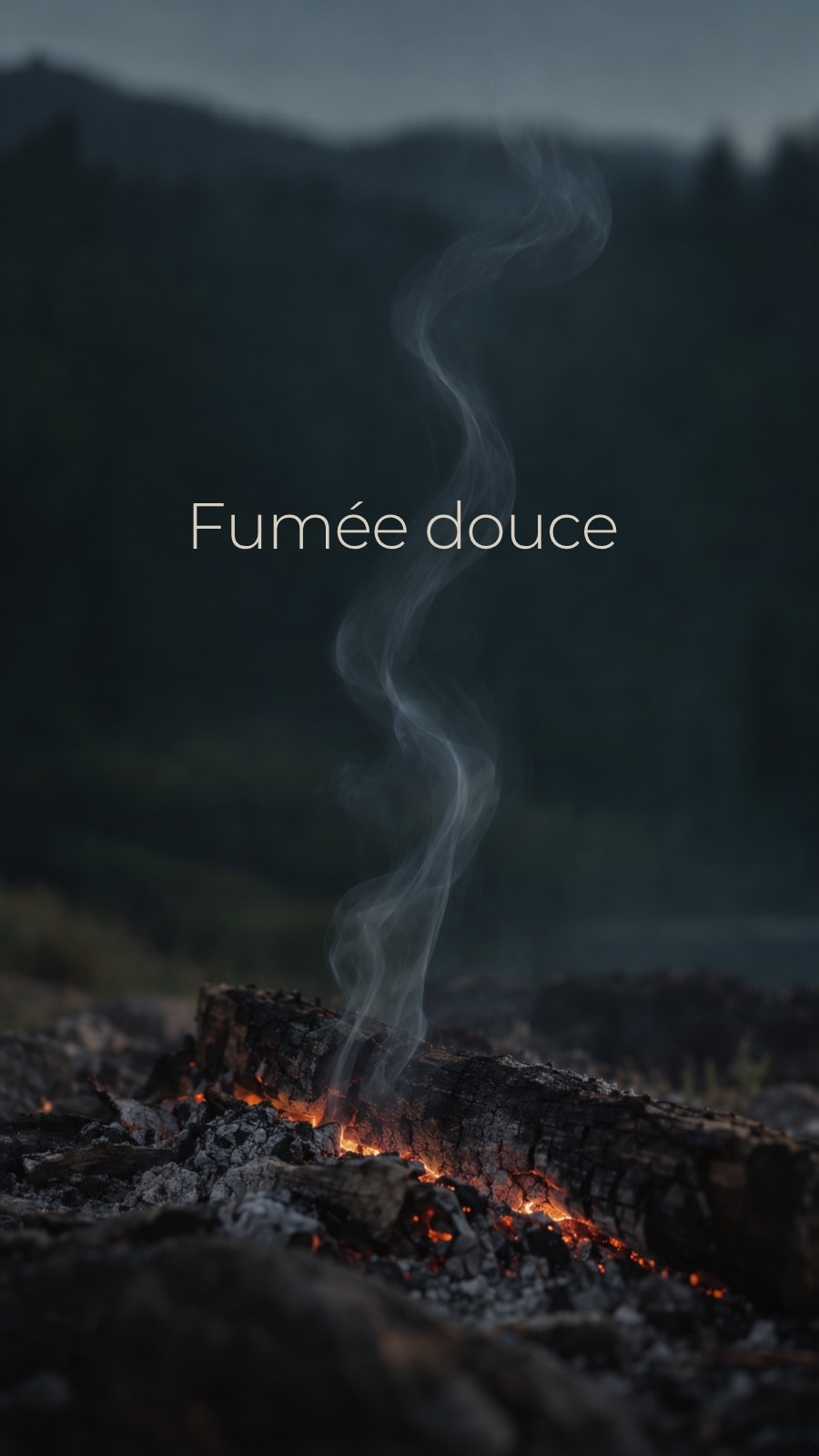 Fond d'écran pour téléphone pour feu de camp en noir et gris style minimaliste
