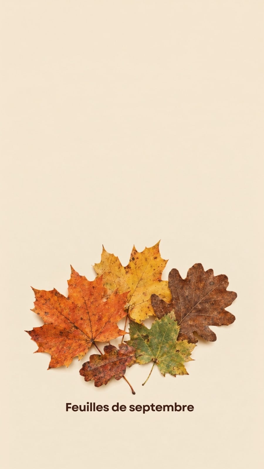Fond d'écran pour téléphone pour feuilles d'automne en beige et orange style rétro