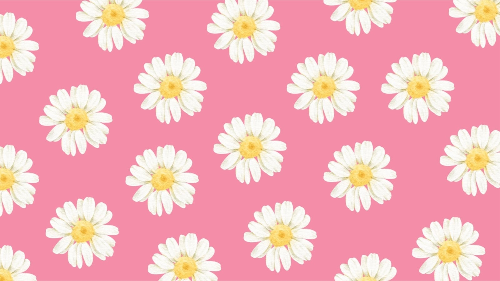 Fondo de Pantalla Margaritas Moderno Rosa